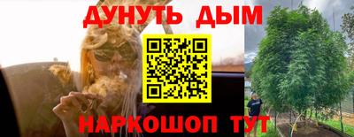 тгк Волгодонск