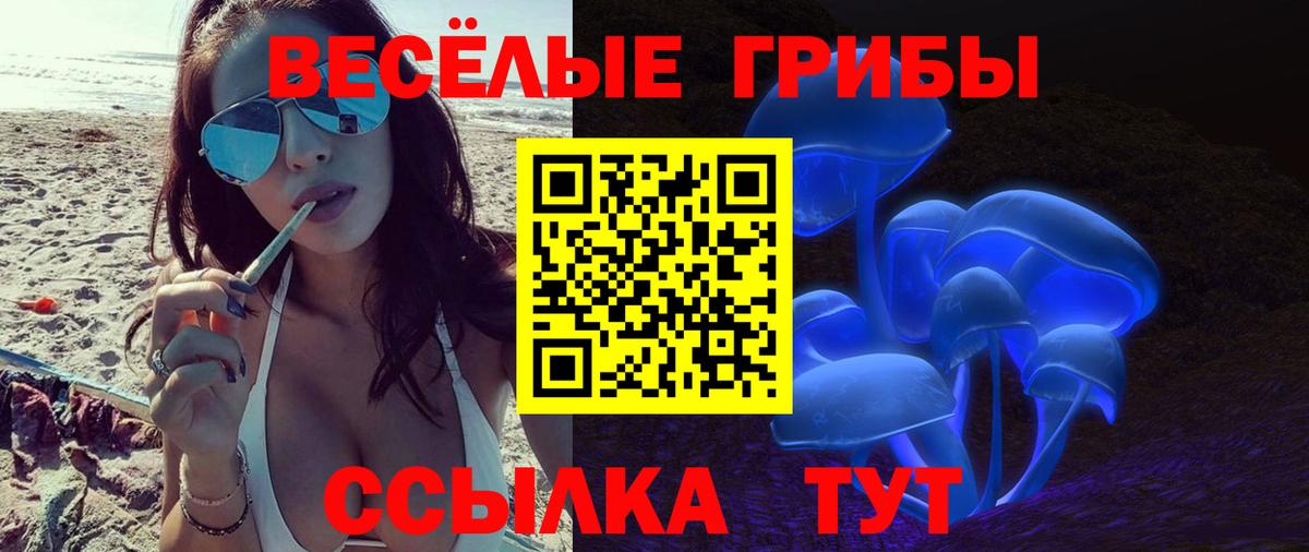 Псилоцибиновые грибы ЛСД  Вход с VPN  Галлюциногенные грибы Psilocybine cubensis  Трёхгорный 